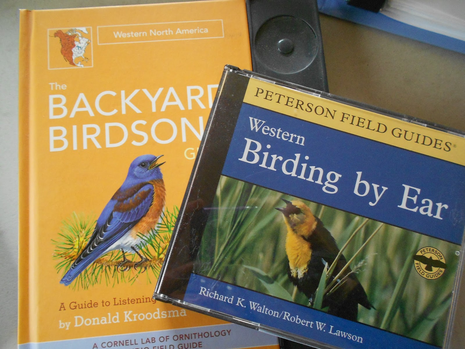 How to Be a Better Birder Learning Bird Calls Homeschool Nature Study